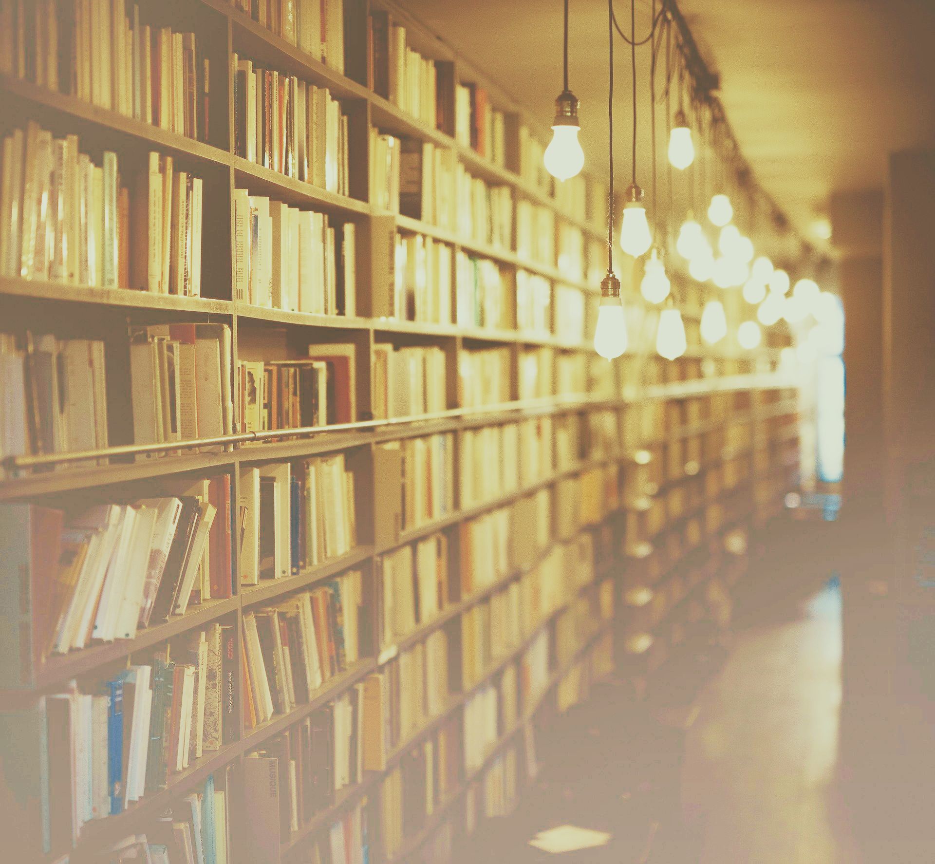 サイトマップ | ルシルナ